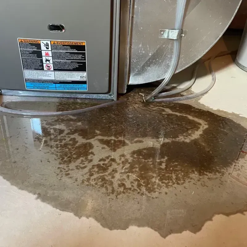 Appliance Leak Cleanup in Sherrill, NY